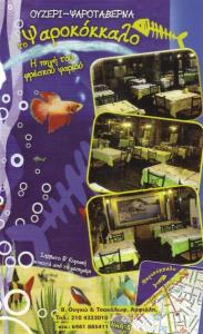 ΜΕΖΕΔΟΠΩΛΕΙΟ ΠΕΙΡΑΙΑ - ΨΑΡΟΤΑΒΕΡΝΑ ΠΕΙΡΑΙΑΣ - ΤΟ ΨΑΡΟΚΟΚΚΑΛΟ - ΨΑΡΟΤΑΒΕΡΝΑ ΚΕΡΑΤΣΙΝΙ